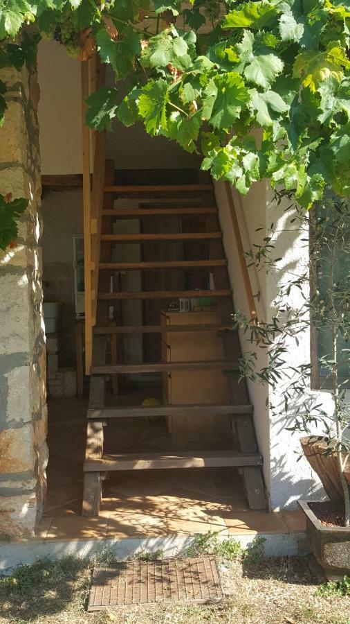Rural Apartment Geja Umag Exteriör bild